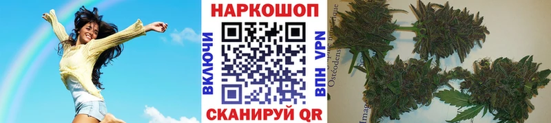 Псилоцибиновые грибы Кулебаки