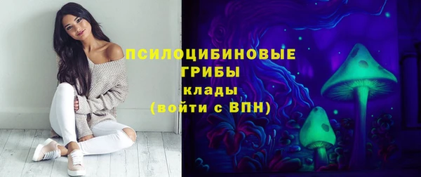 дмт Алексеевка