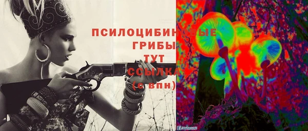 дмт Алексеевка