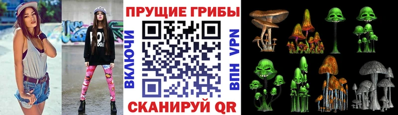 Псилоцибиновые грибы Magic Shrooms  blacksprut tor  Кулебаки 